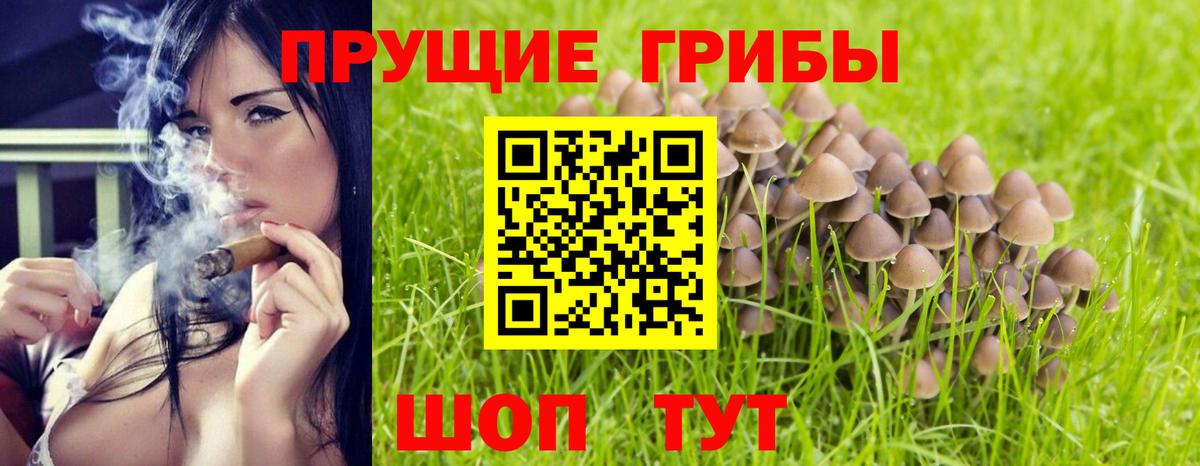 Псилоцибиновые грибы Psilocybine cubensis  Вход с VPN  Междуреченск 